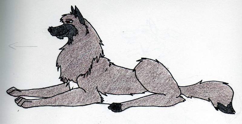 Still unnamed