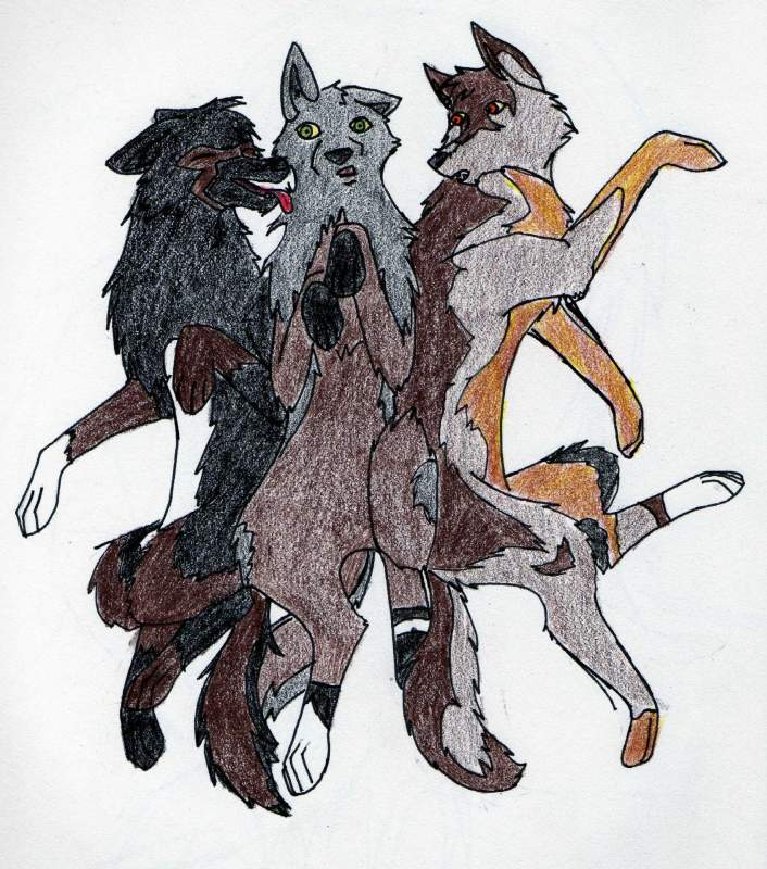 The Trio