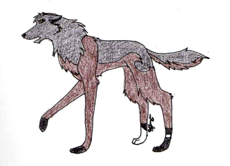 Tikaani©Me