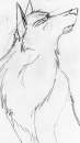 random dramatic wolf