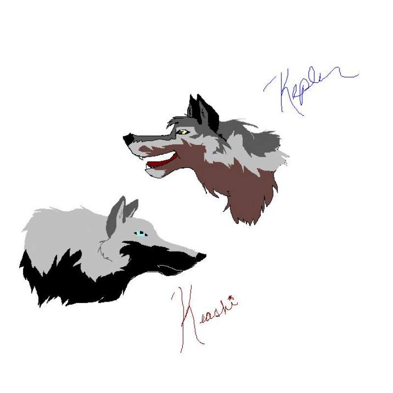 Kepler and Keashi