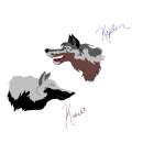 Kepler and Keashi