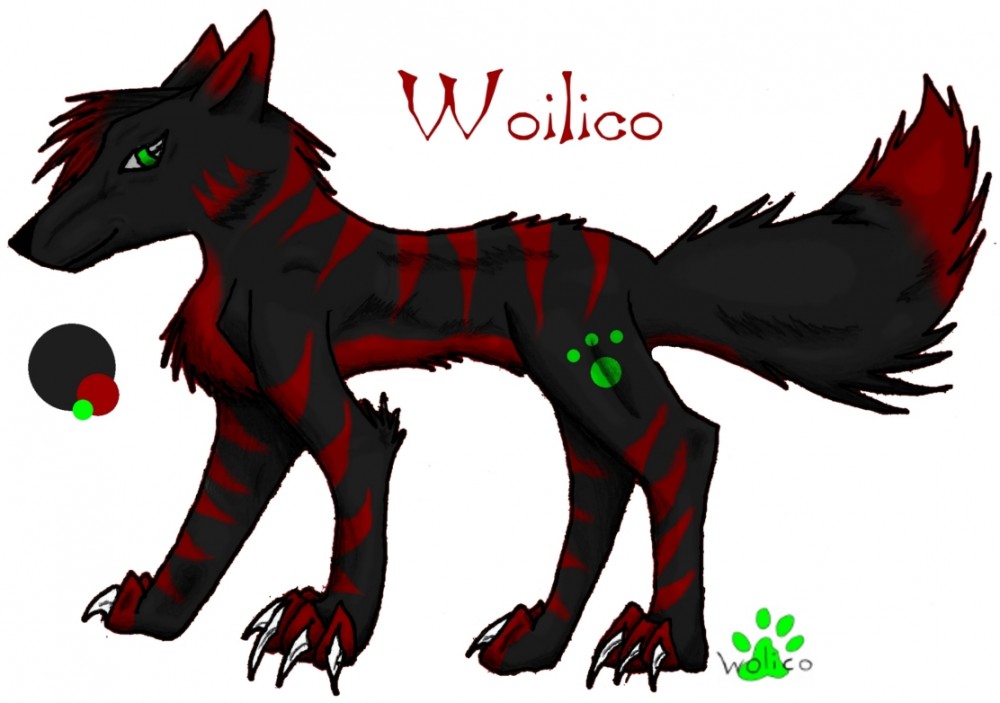 wolico