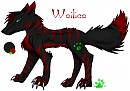 wolico