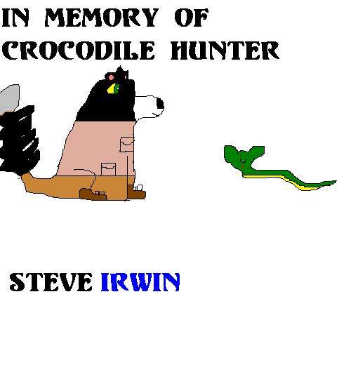 Memory of Crocodile Hunter