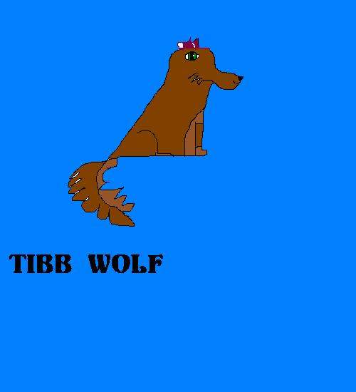 Tibb wolf