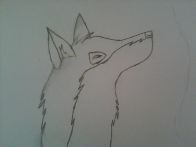 Balto