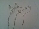 Balto