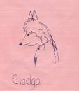 Clodga