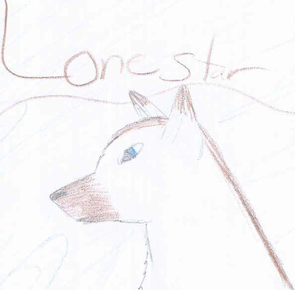 **Lone's Request**