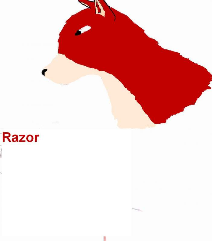 Razor in Paint