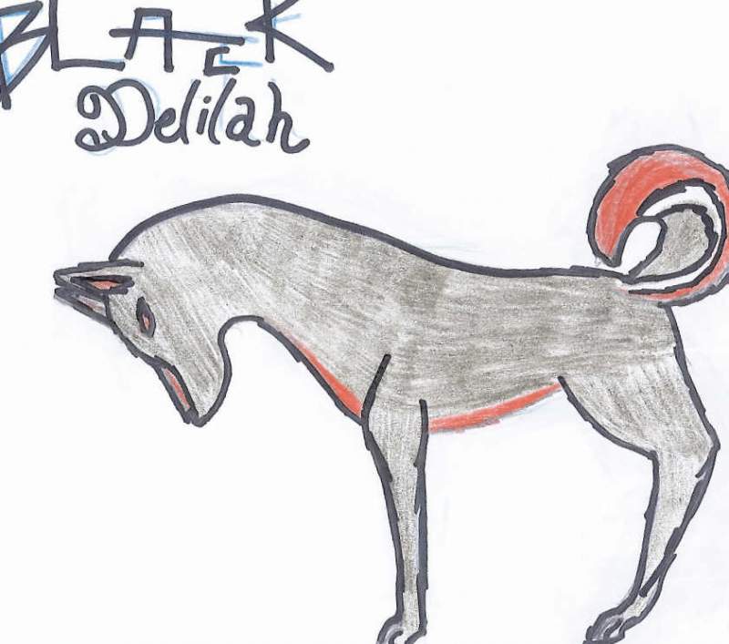 Black Delilah