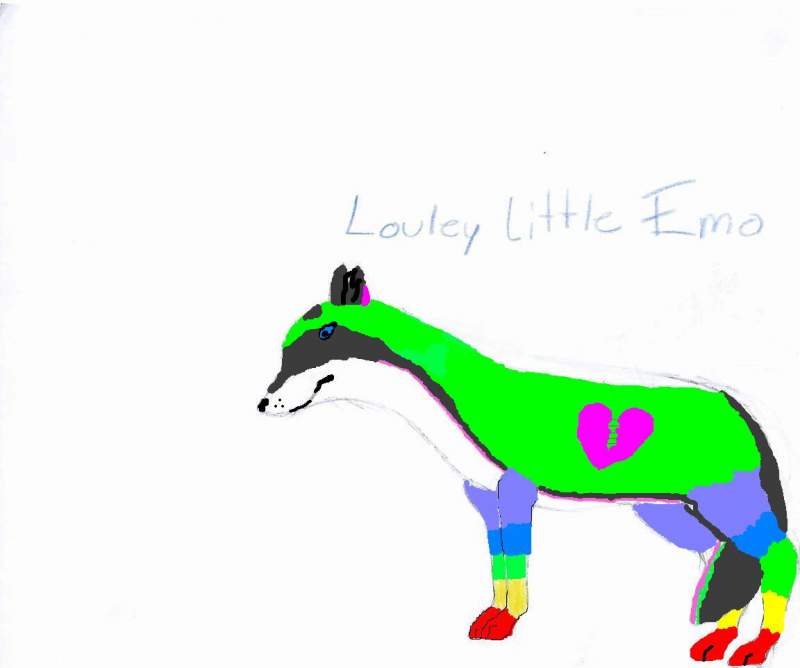 MS Painted LLE