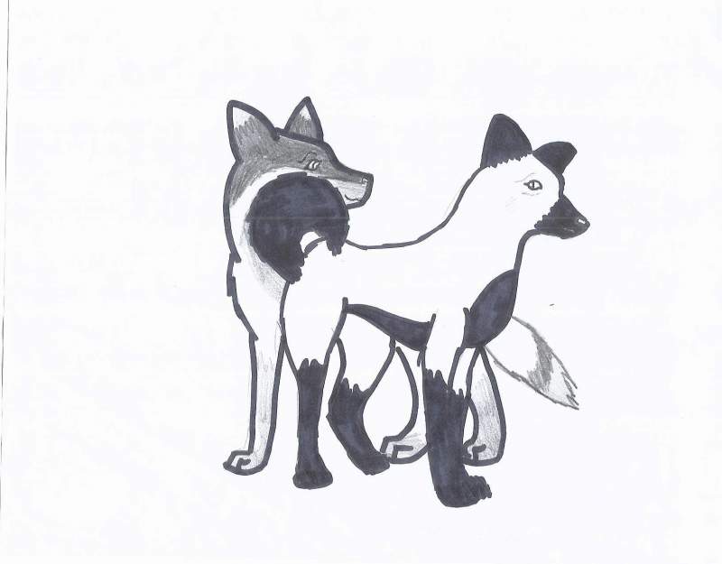 **For Iceshadow**