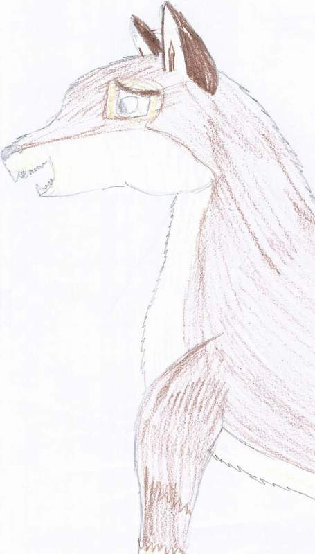 **BALTO**