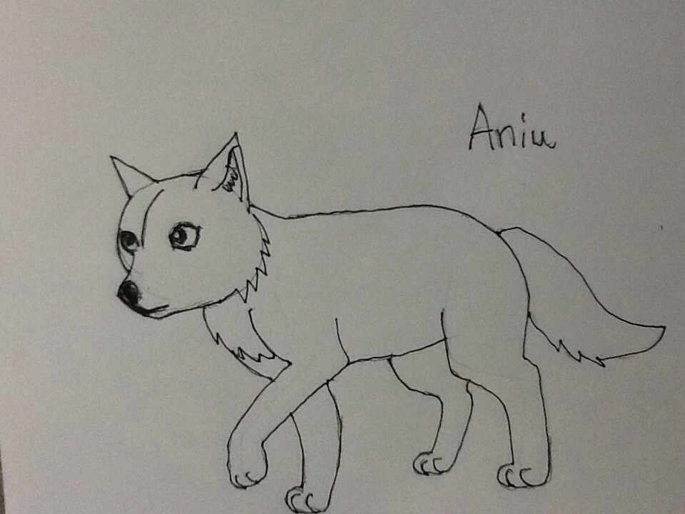 Aniu