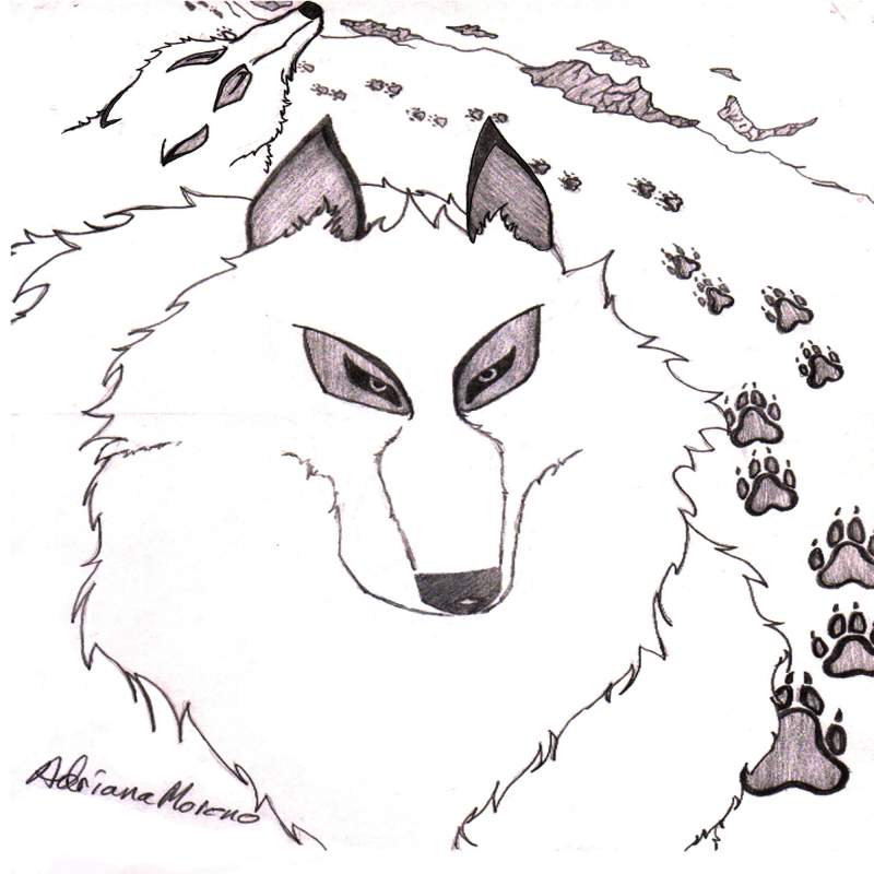 The White Wolf