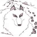 The White Wolf