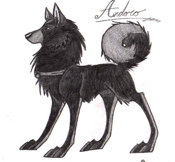 Andoro