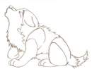 saisha puppy