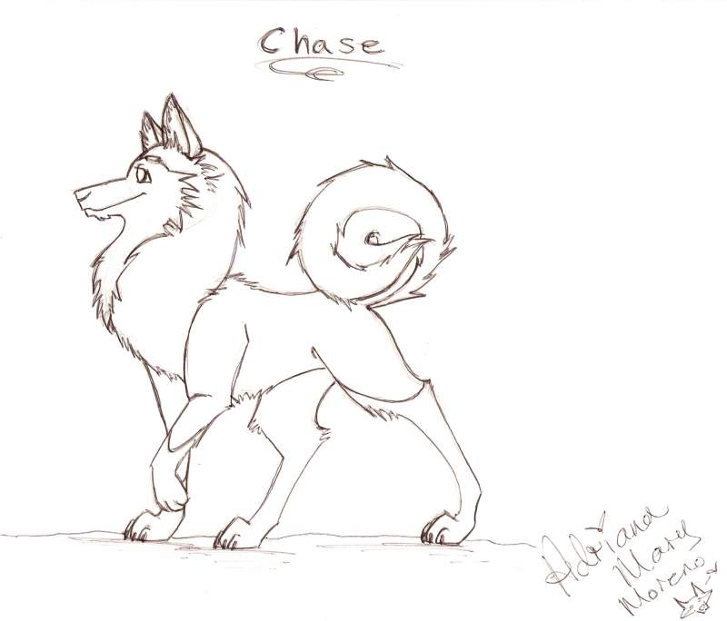 Chase