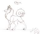 Chase