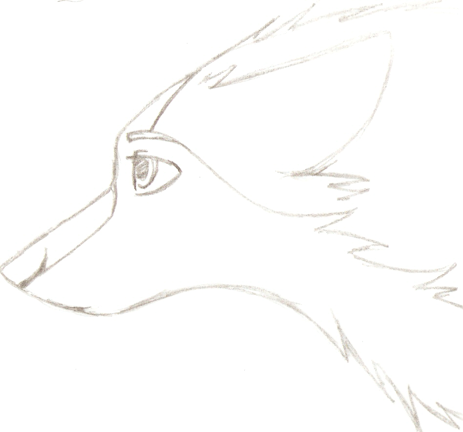 another blinking saisha