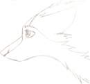 another blinking saisha