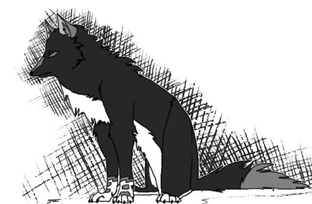 Request: Dallas For: Timberwolf61