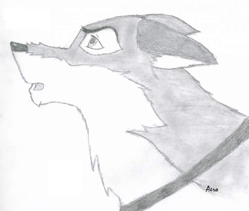 Another pic of Balto