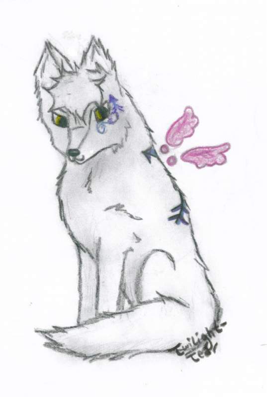 Fairy Aero