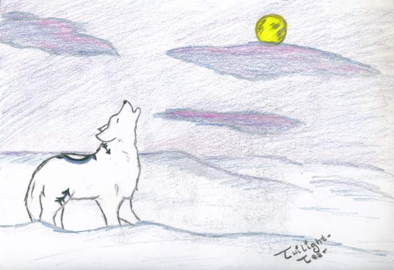 Howl at the Moon