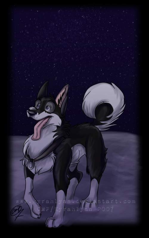 Moonlit Shadow