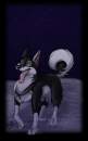 Moonlit Shadow