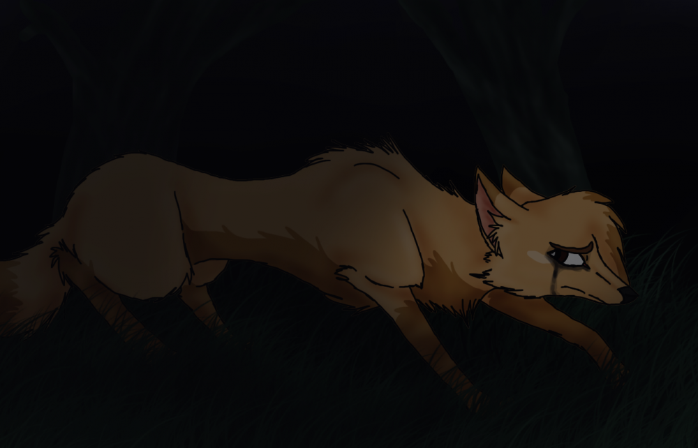 ~-The Outsider-~