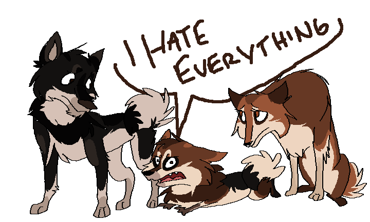 Humble Beginnings 