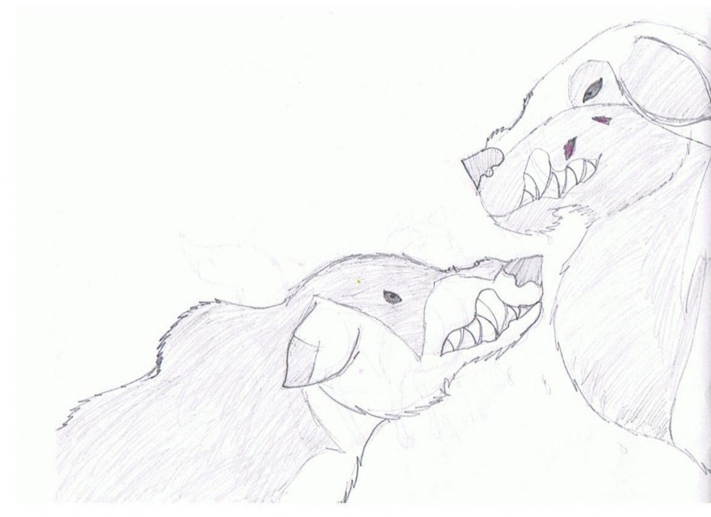 2 wolves