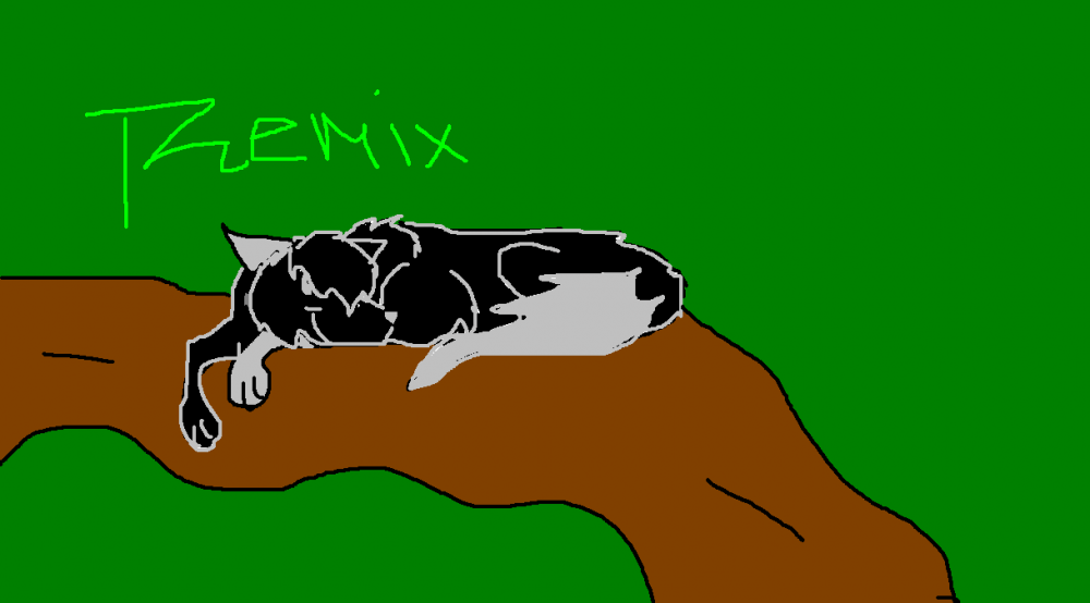 Remix