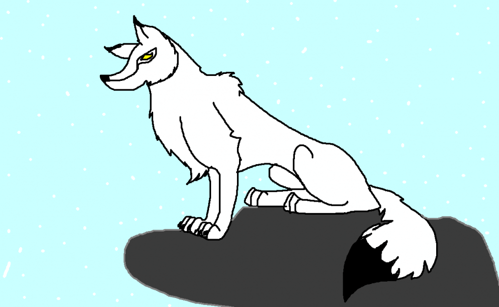 Aniu