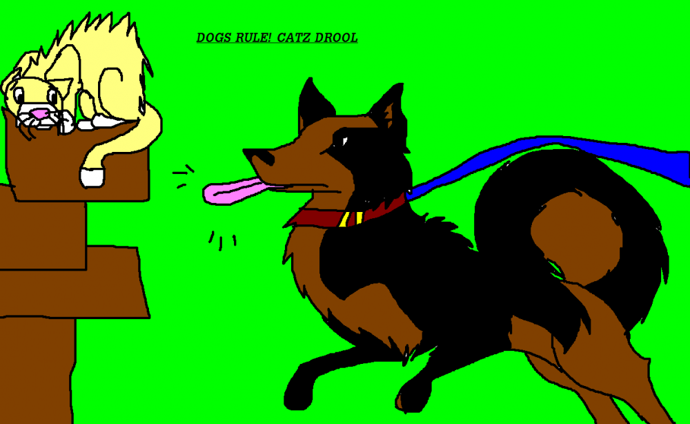 dogs