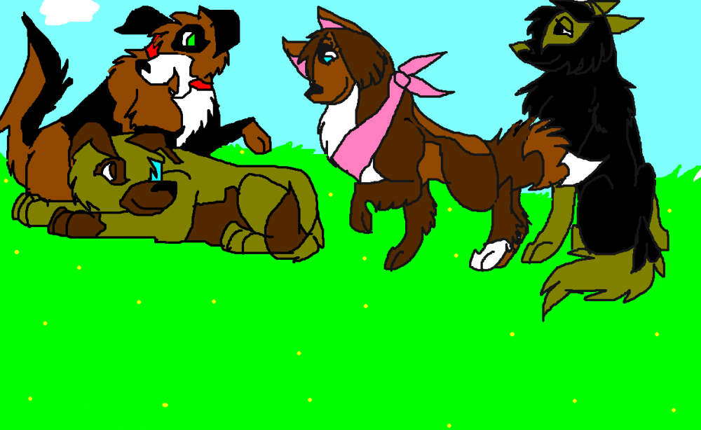 Bruno and Shazza's Pups