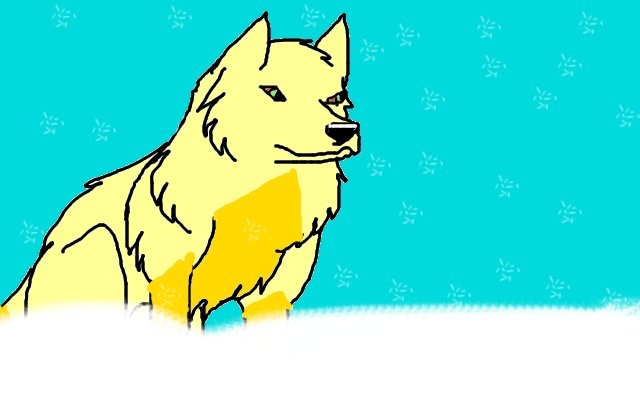 Ice cold Snow