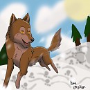 Go,Balto!