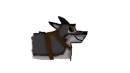 Balto