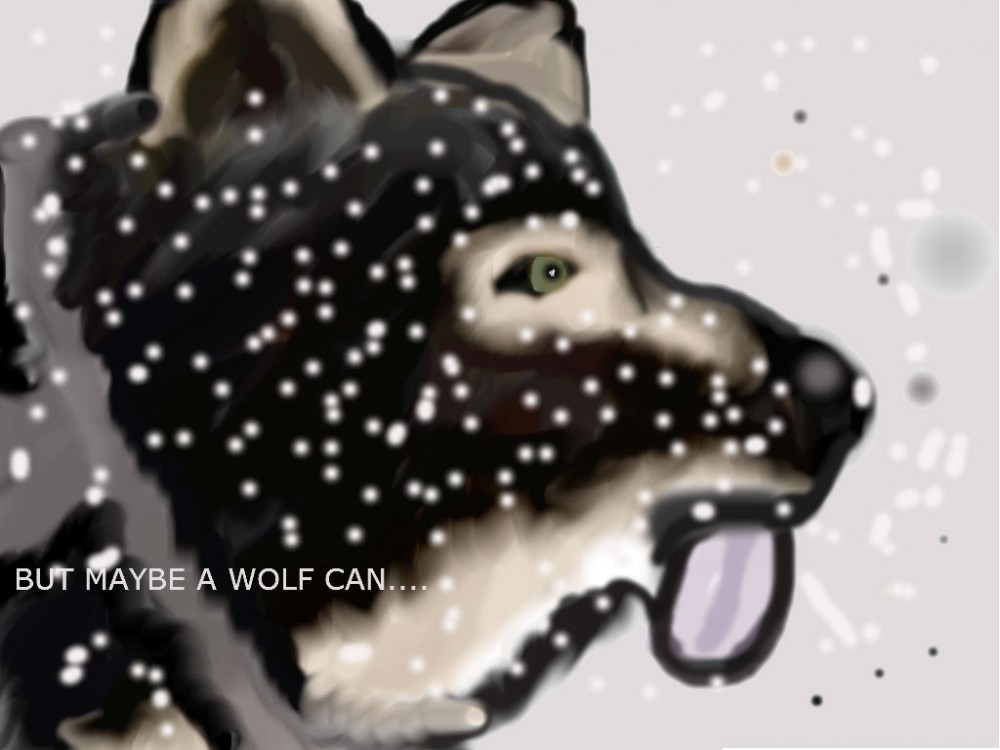 MABEY A WOLF CAN..
