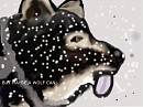 MABEY A WOLF CAN..