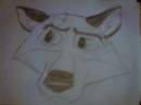balto