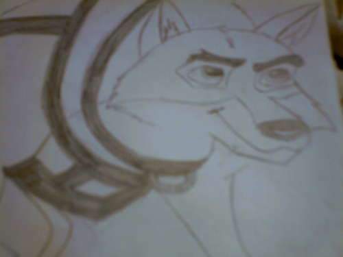 Balto ready for the race