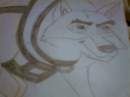 Balto ready for the race