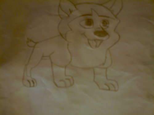 Kodi - puppy